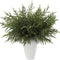 Revheria Norfolk Pine Stems | 12-Pack 24 in Faux Christmas Greenery Branches