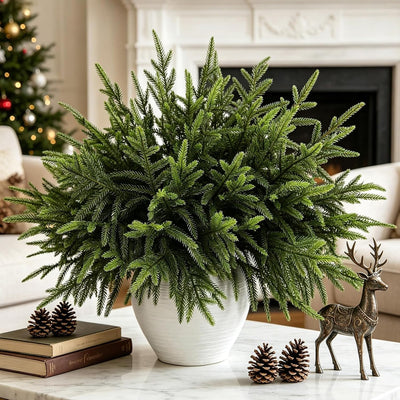 Full Norfolk pine stems in a white vase on a coffee table